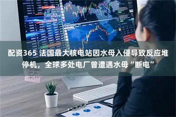 配资365 法国最大核电站因水母入侵导致反应堆停机，全球多处电厂曾遭遇水母“断电”