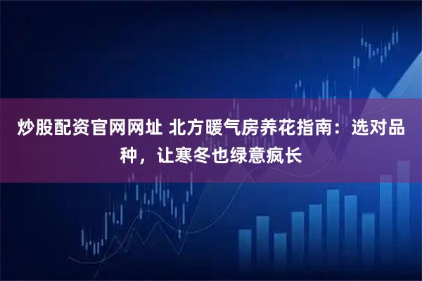 炒股配资官网网址 北方暖气房养花指南：选对品种，让寒冬也绿意疯长