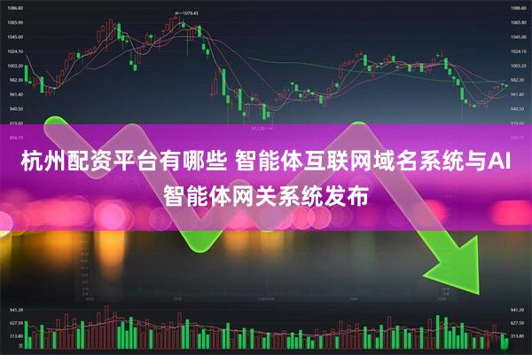 杭州配资平台有哪些 智能体互联网域名系统与AI智能体网关系统发布